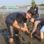 Mahasiswa FPIK UB Tanam 220 Bibit Mangrove di Pasuruan